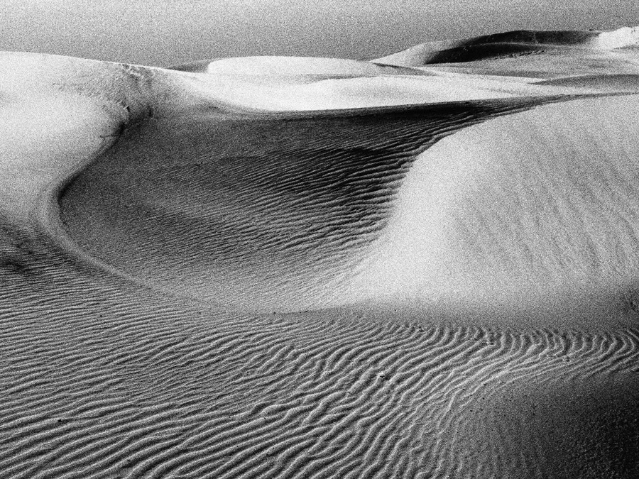 Dune 2