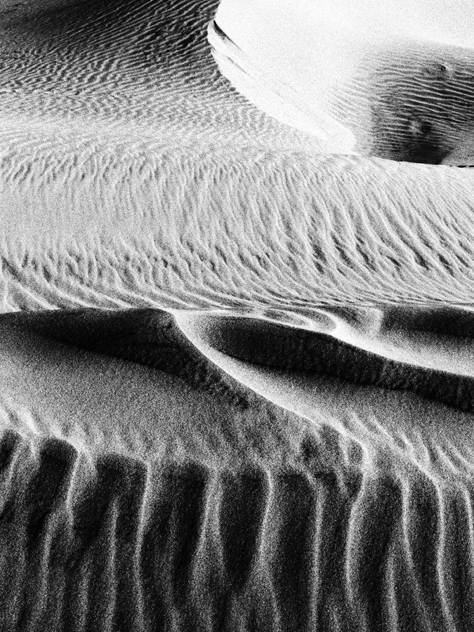 Dune 3