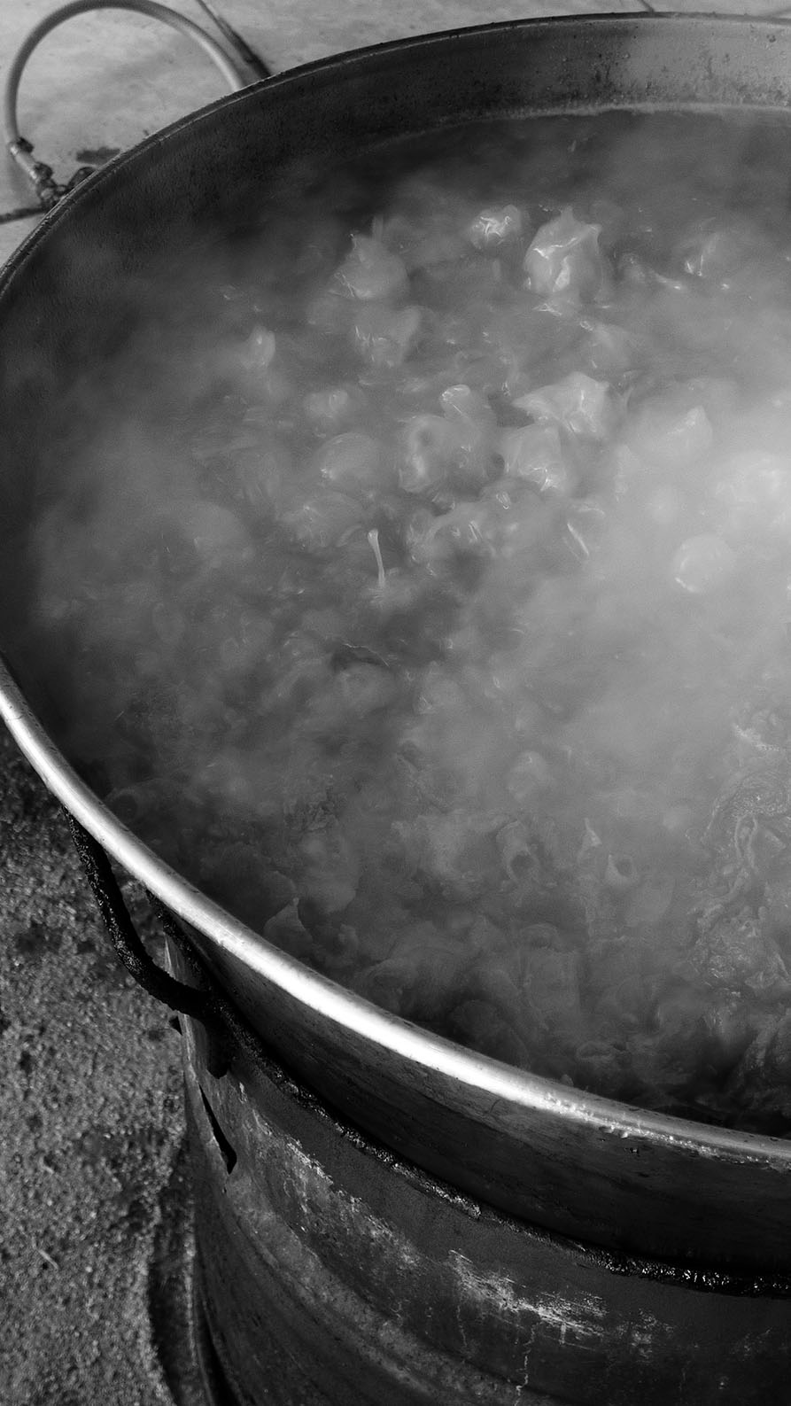 Vat of Boiling Meat