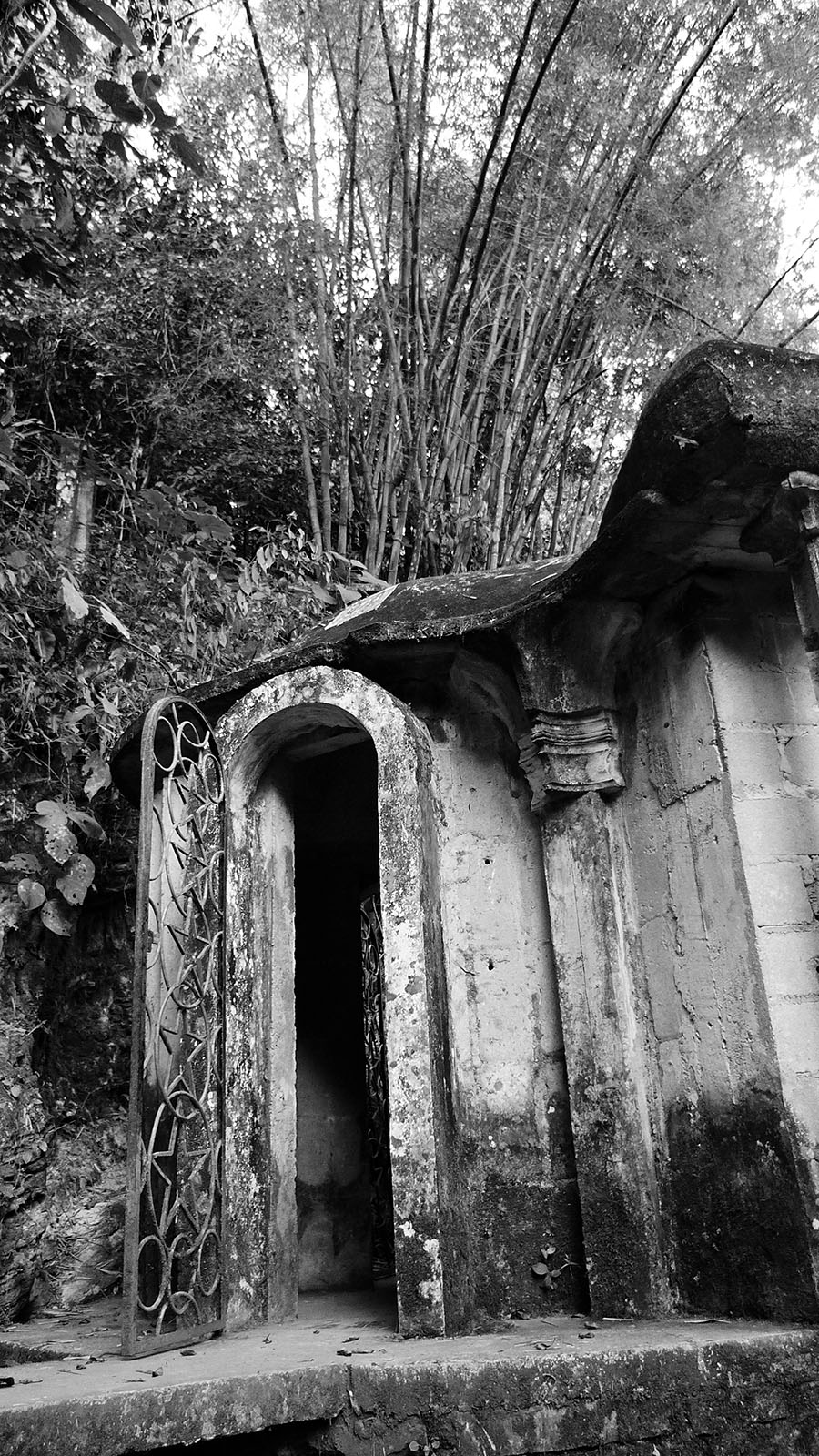 Pelo Las Pozas