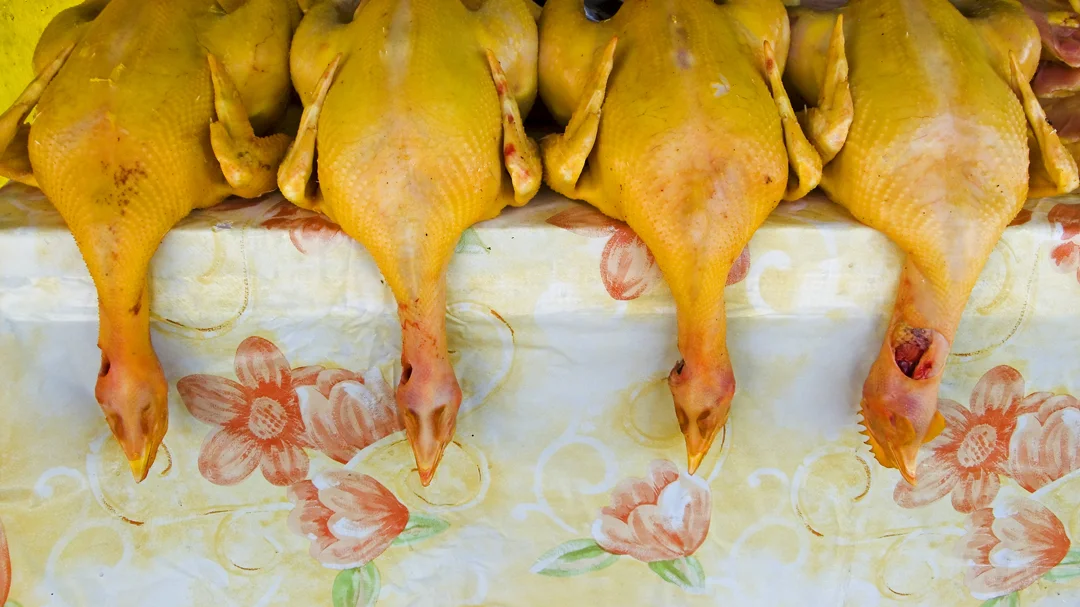 Chicken Train