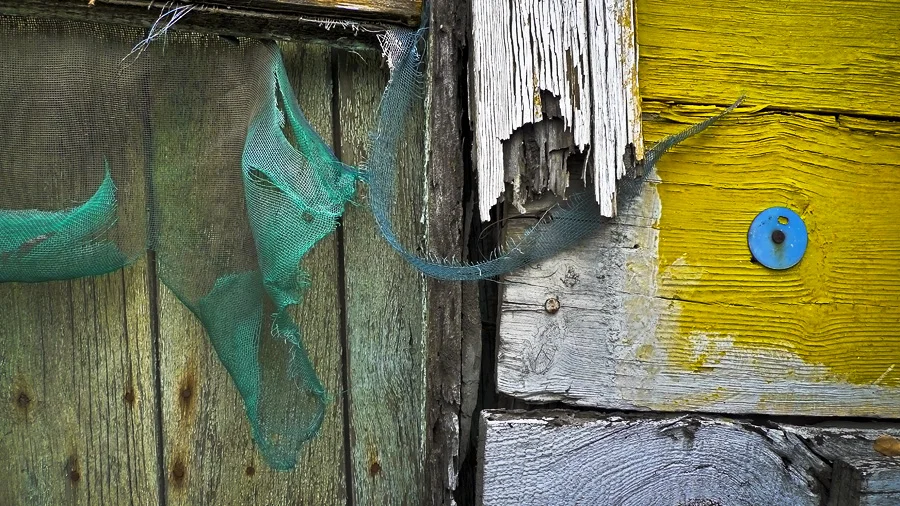 Homestead