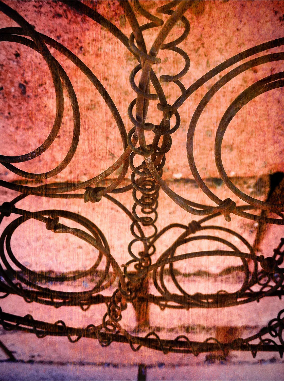 Torpor