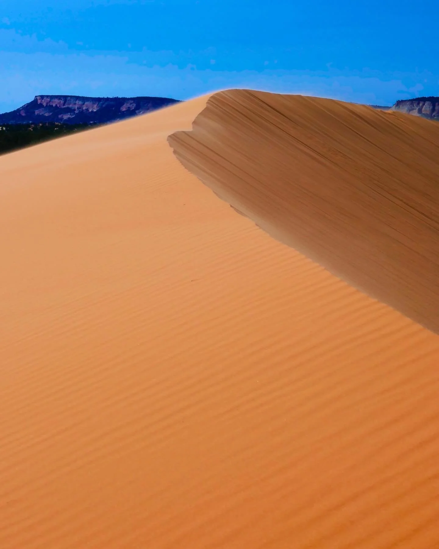 &ldquo;Oasis&rdquo; &copy; 2025 Skip Hunt

Golden sand dunes rise elegantly against a vibrant blue sky, with distant flat-topped mesas adding depth to the landscape. Shadows enhance the curves of the dunes, creating a striking contrast between light 
