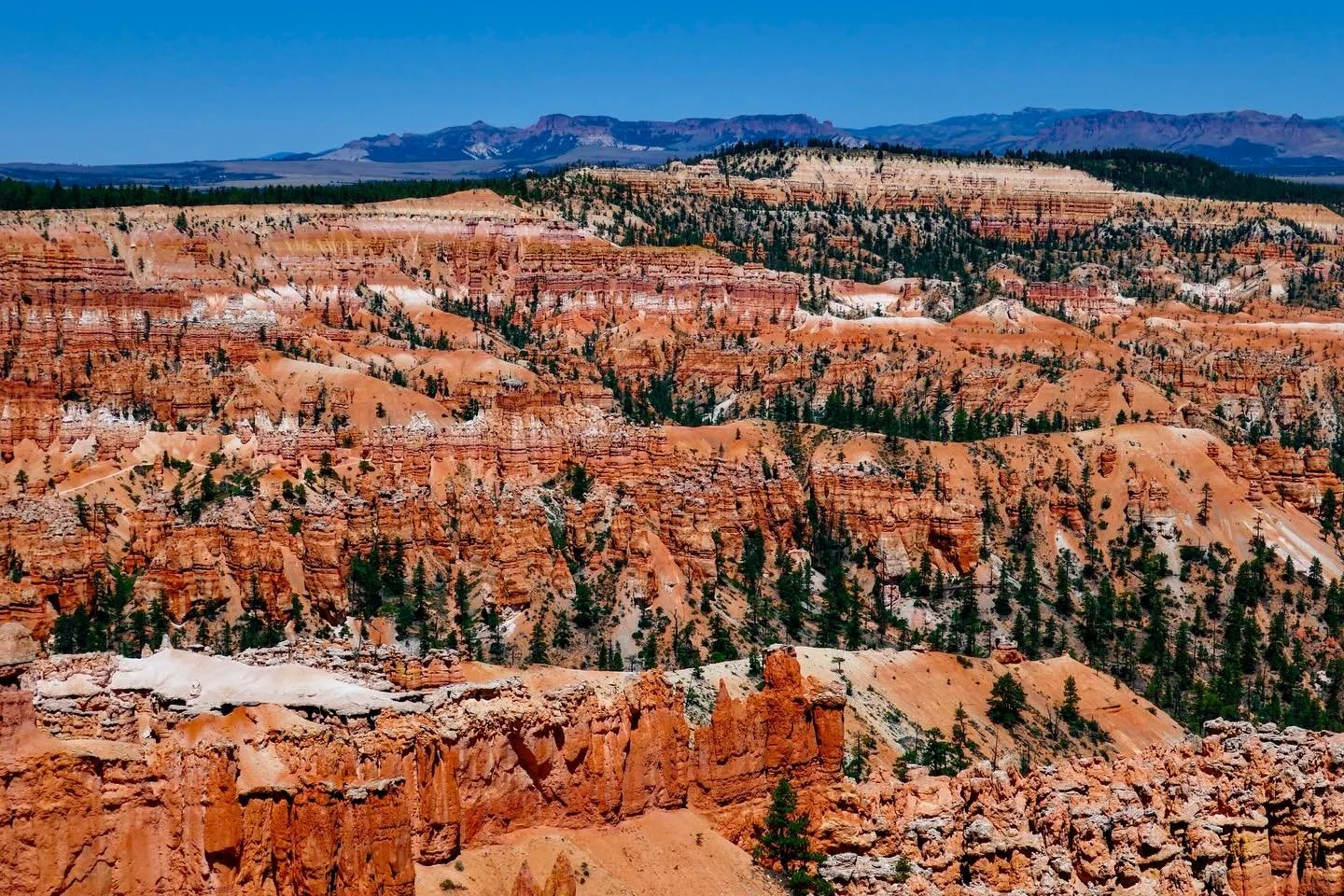 &ldquo;Terranova&rdquo; &copy; 2025 Skip Hunt

Vast canyons stretch across the landscape, marked by unique rock formations with vibrant shades of orange and red. Pine trees are scattered throughout the terrain, contrasting against the stark, rugged c