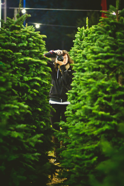 kristy_tree_4.jpg