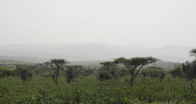 Africa-27.jpg