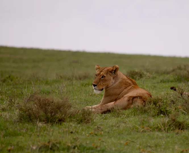 Africa-120.jpg