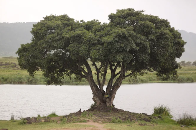 Africa-157.jpg