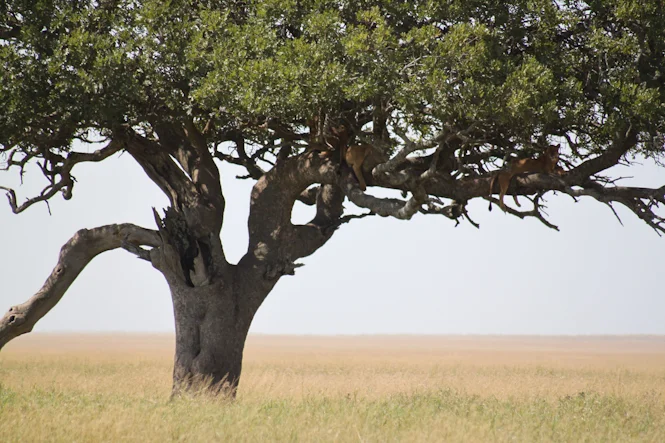 Africa-324.jpg