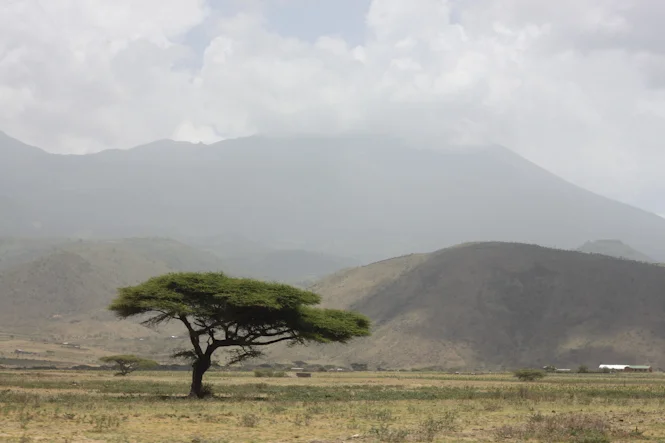 Africa-68.jpg