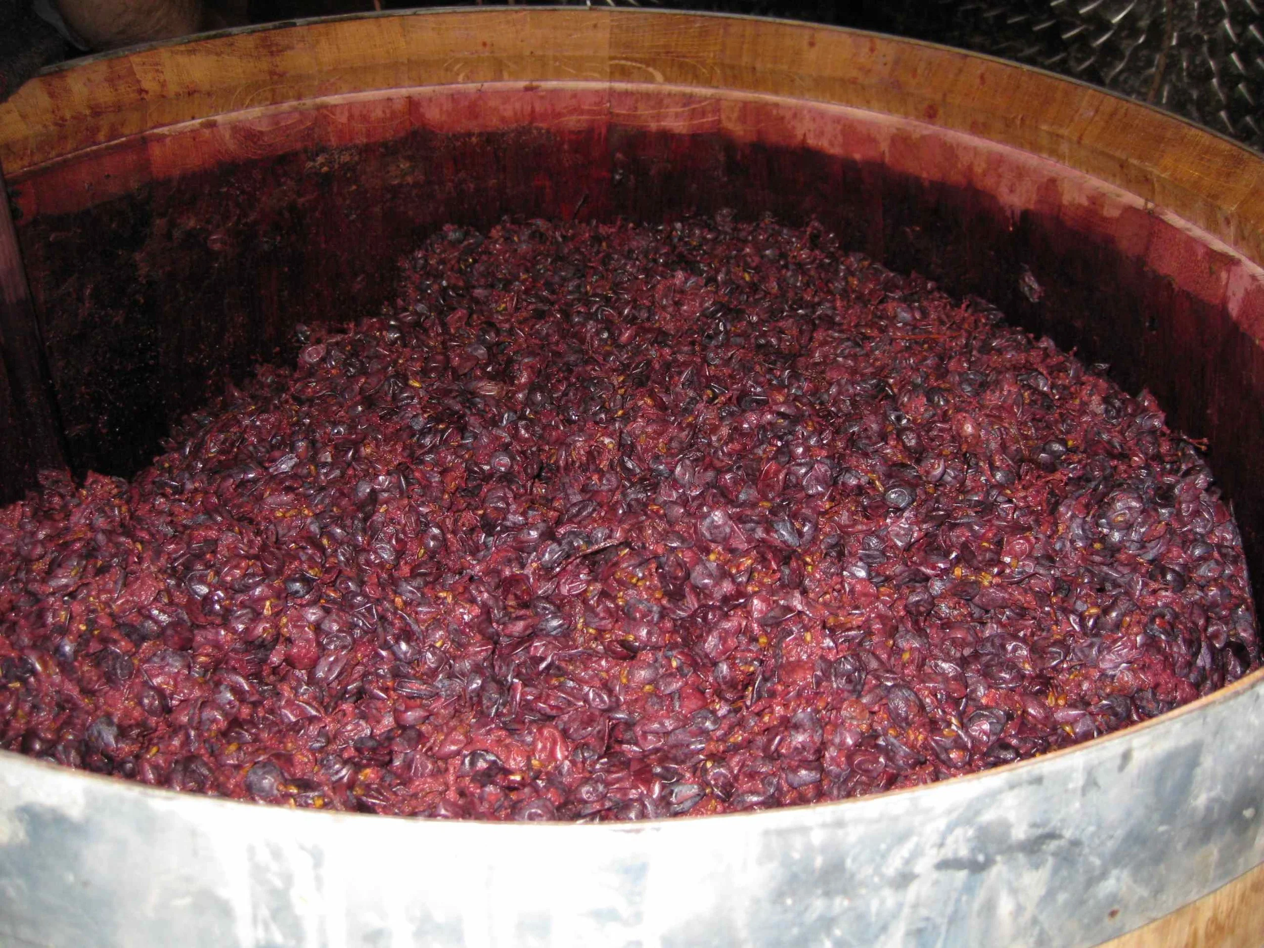 vinacce Amarone