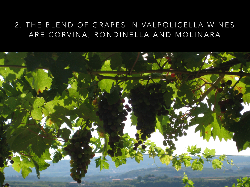 9 Valpolicella facts.003.jpg