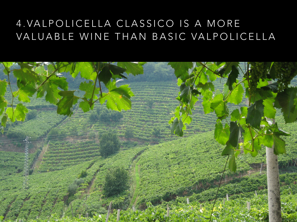 9 Valpolicella facts #2.006.jpg