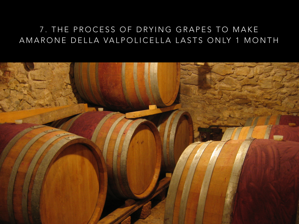 9 Valpolicella facts #2.011.jpg