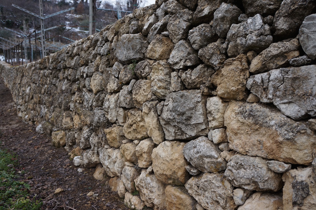 One of the "marogne", the typical stone wall of Valpolicella