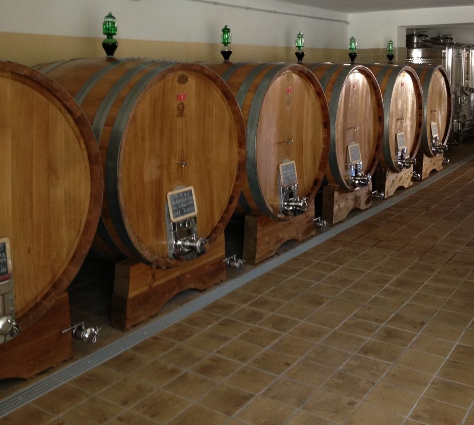 Chevalier Cellar-Amarone-only-in-large-barrels.jpg