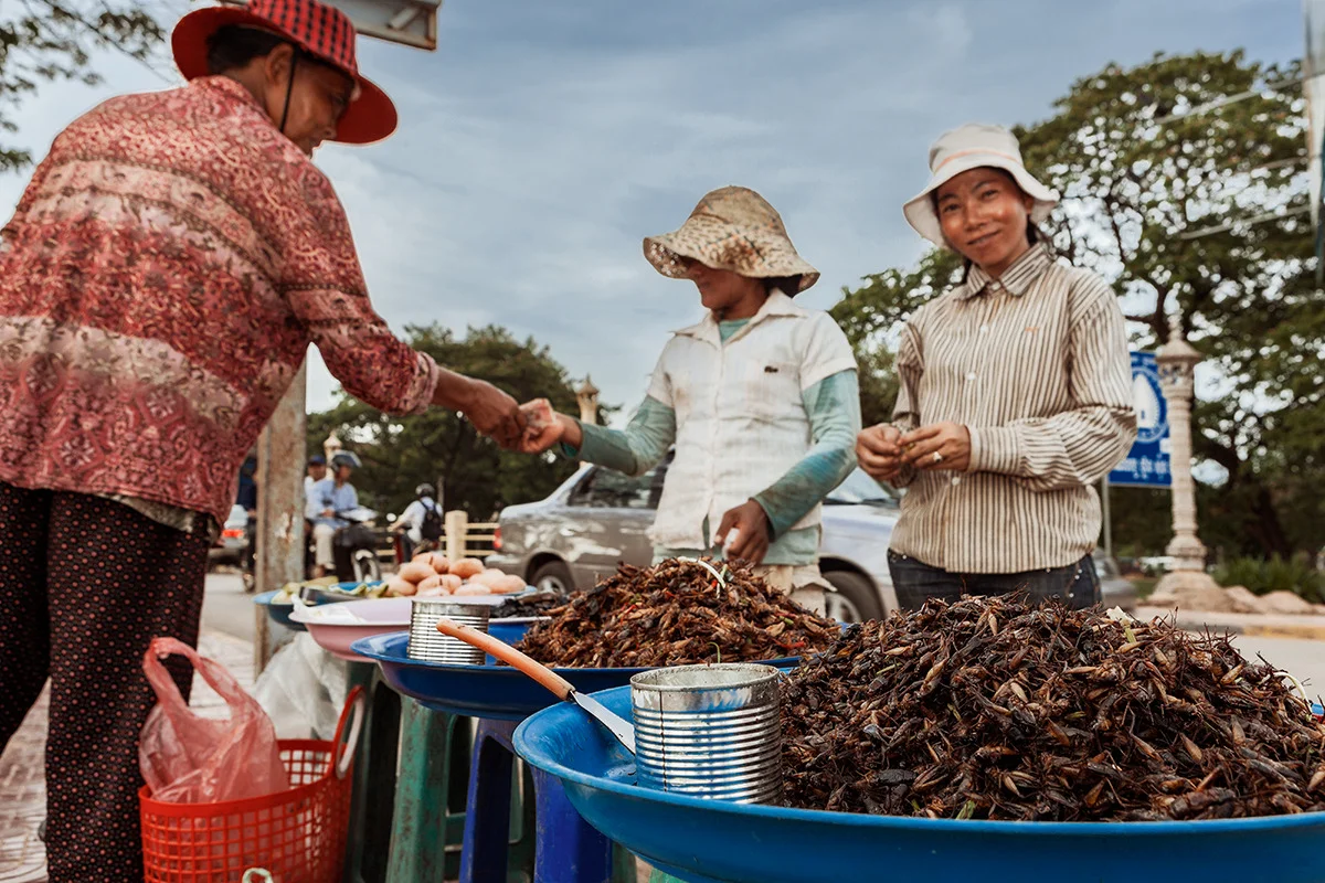 cambodia_2010_008.jpg