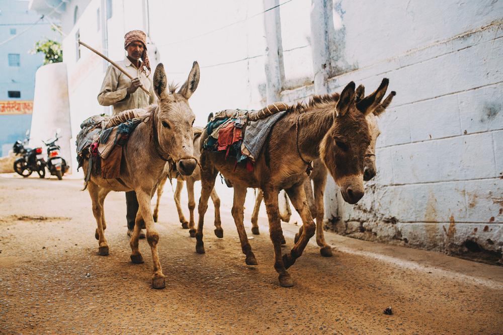 pushkar-India-1-8.jpg