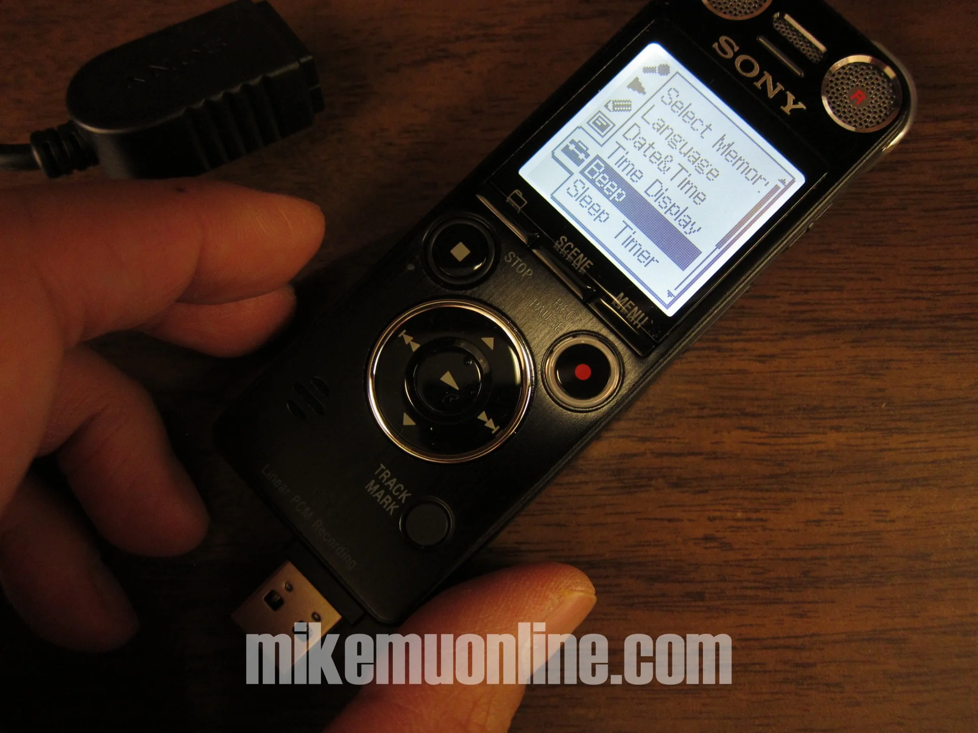 sony icdsx1000 22.jpg