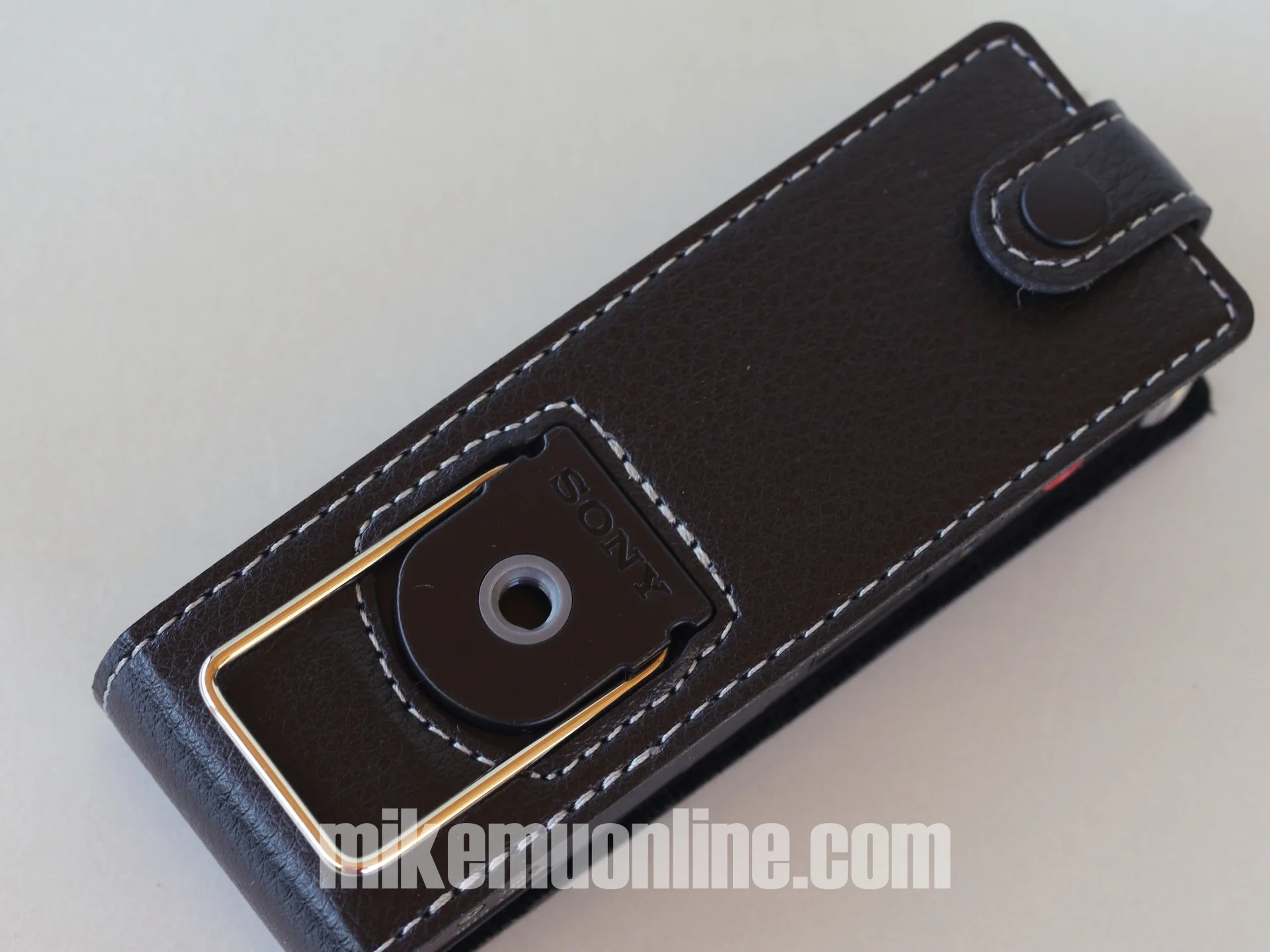 sony icdsx1000 33.jpg