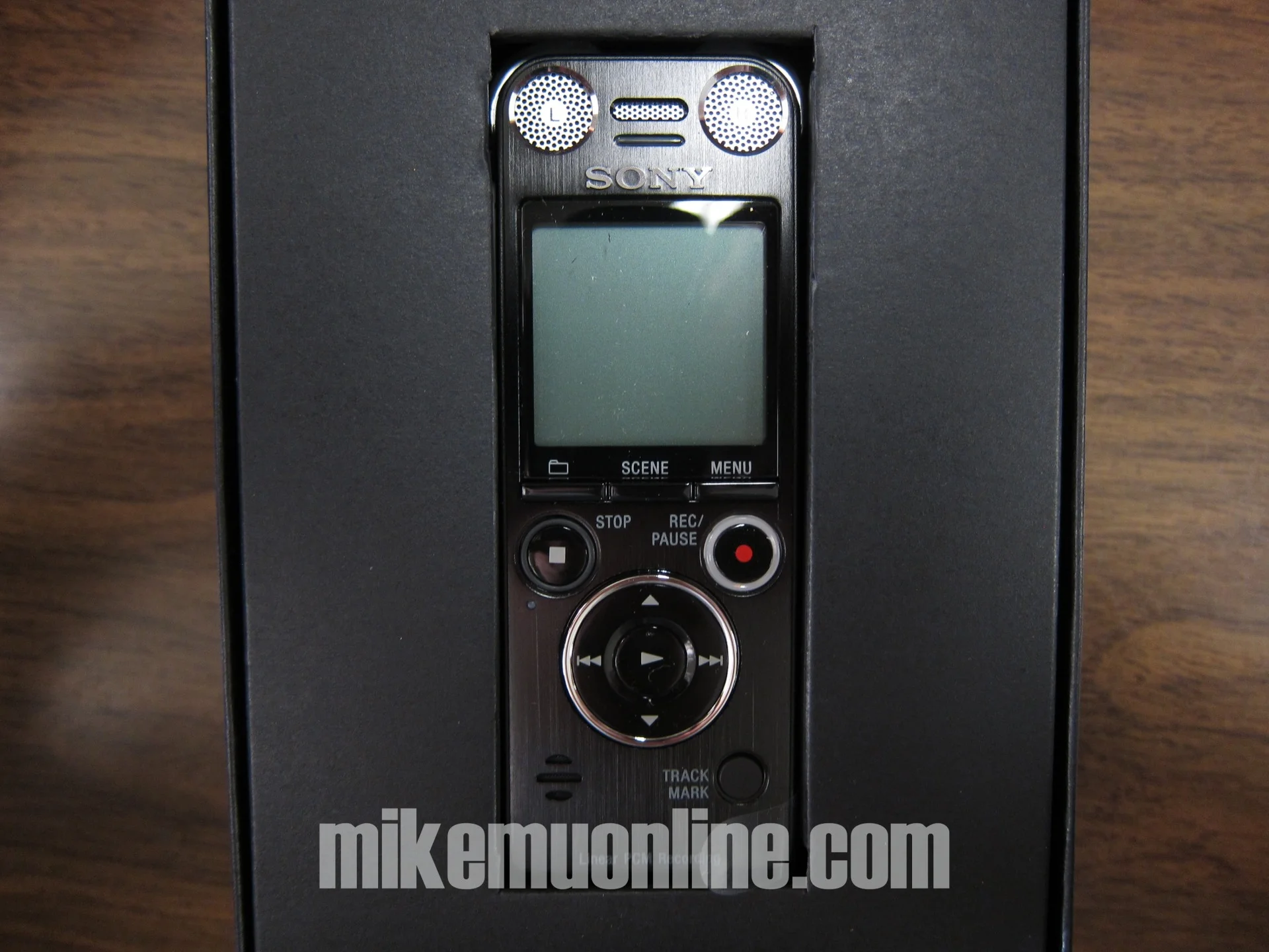 sony icdsx1000 38.jpg