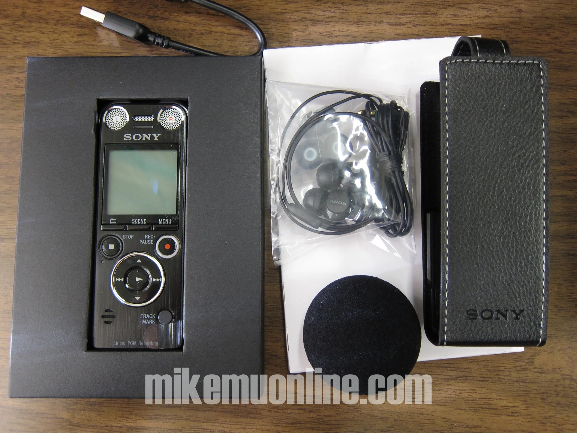 sony icdsx1000 40.jpg
