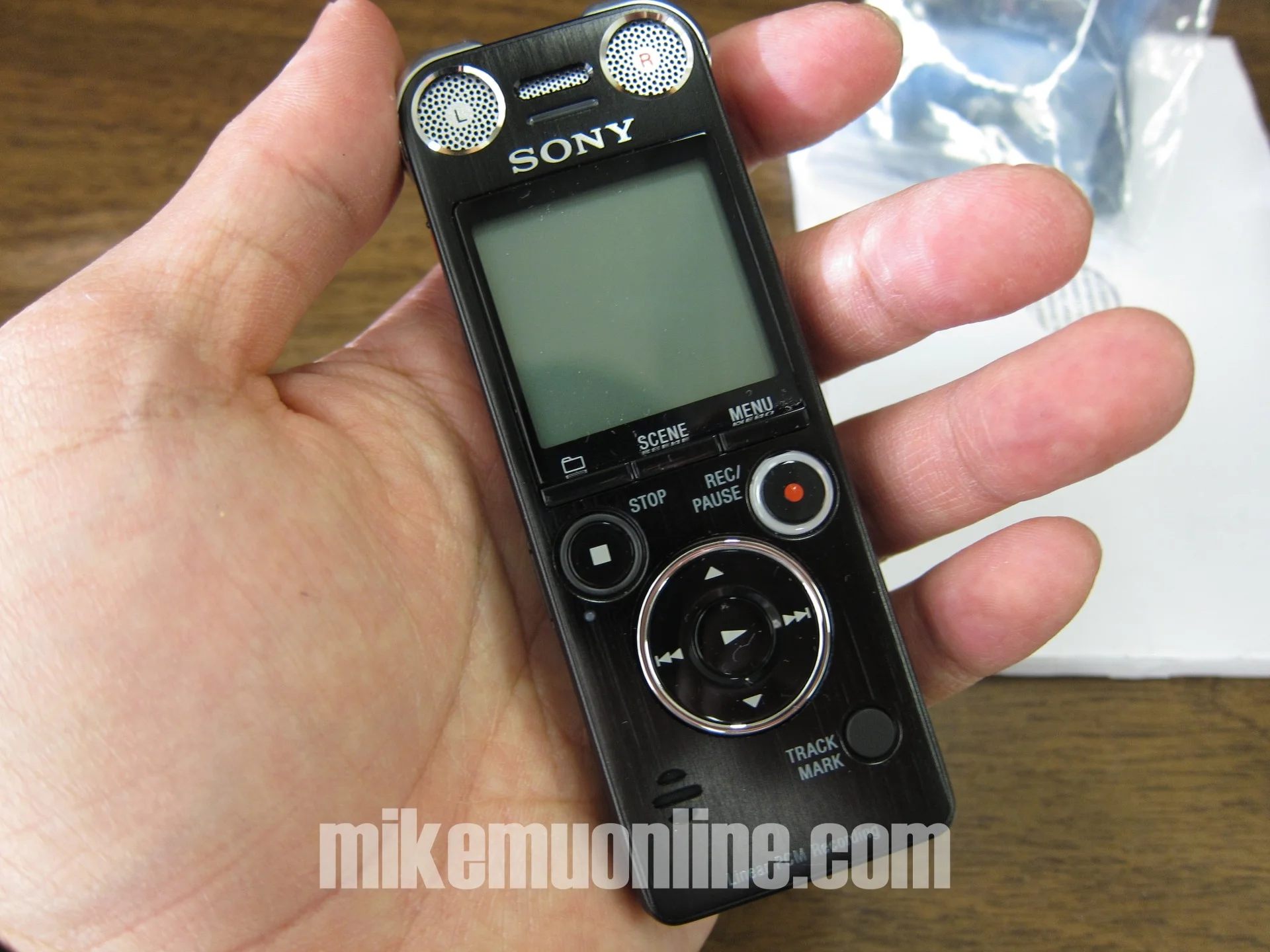 sony icdsx1000 41.jpg
