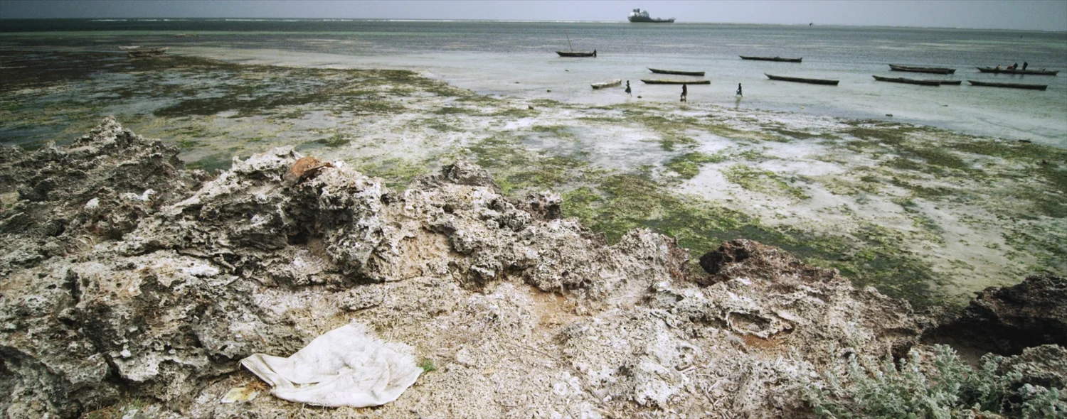 Trash_beach.jpg