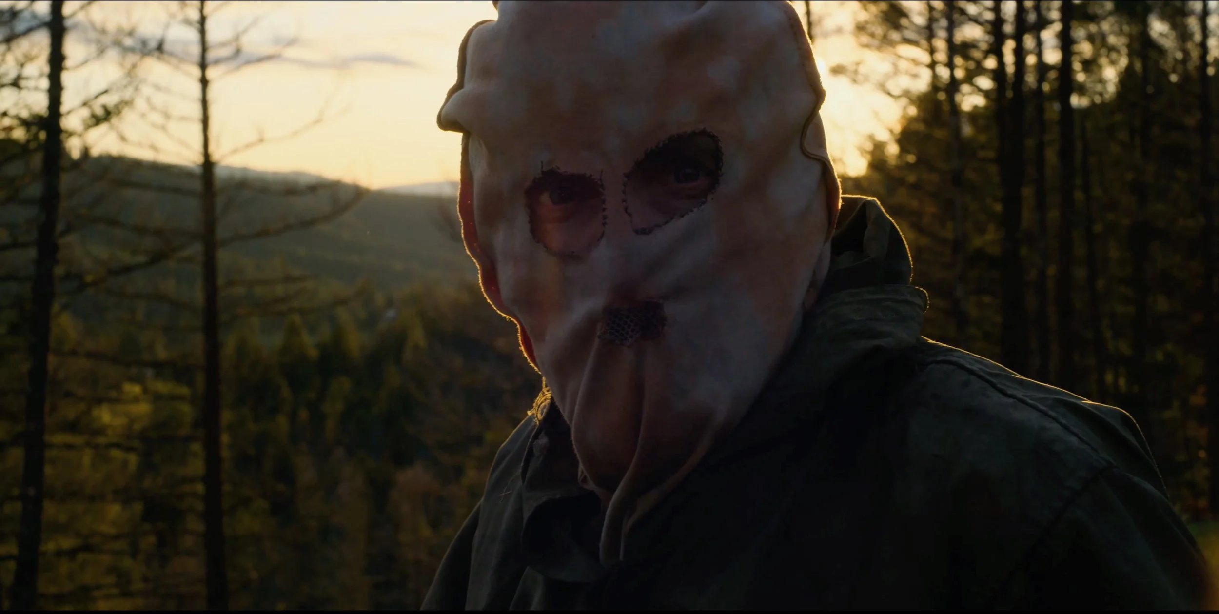 Screen Shot 2021-02-01 at 2.51.34 PM.jpeg