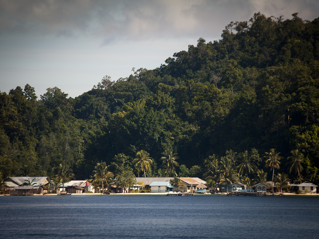 Day #20 New Guinea Adventure