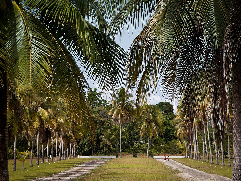 Day #16 New Guinea Adventure