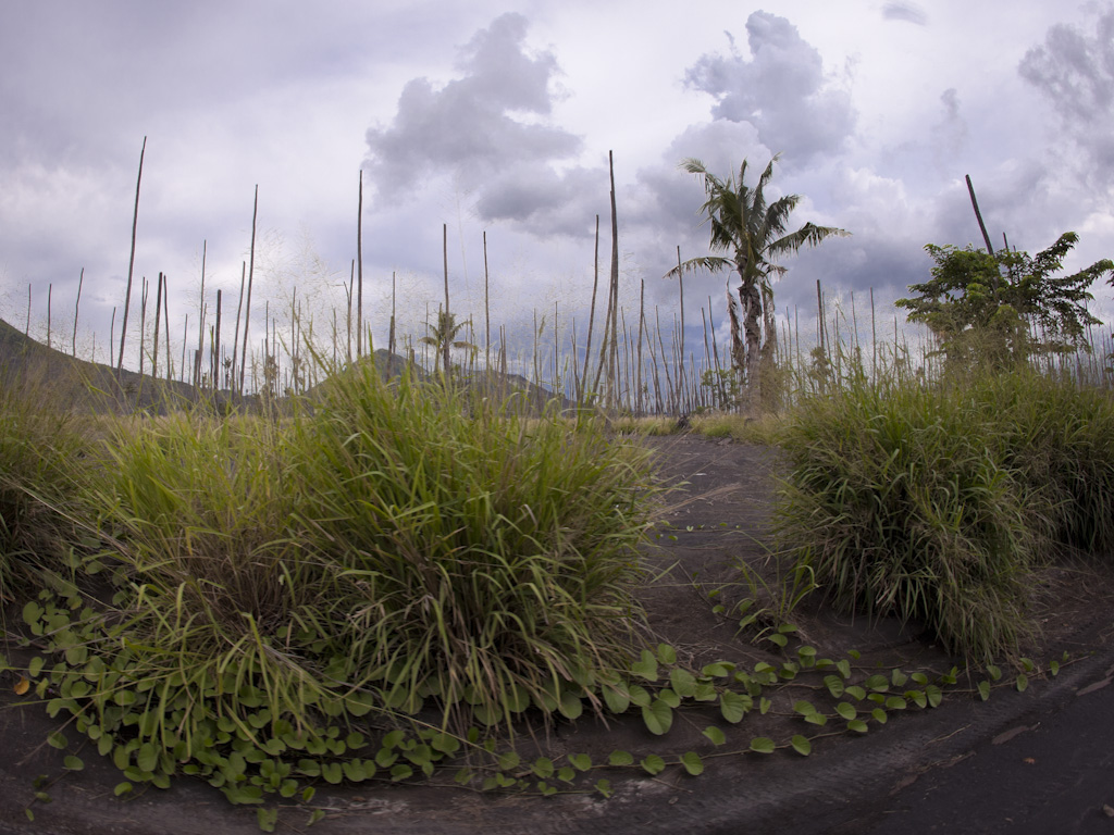 Day #12 New Guinea Adventure