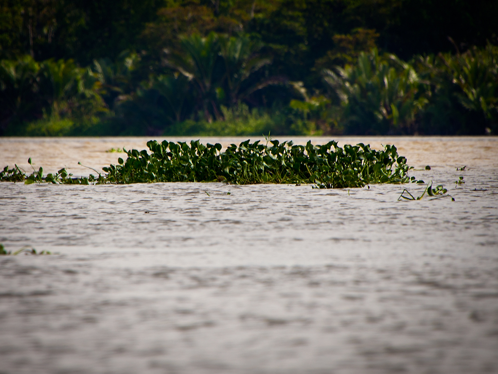 Day #10 New Guinea Adventure