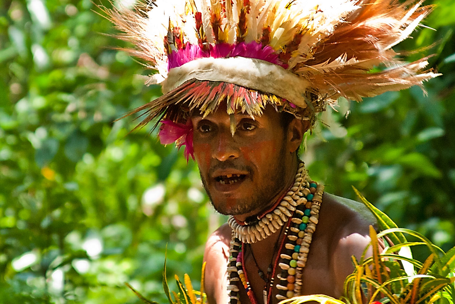 Day #7 New Guinea Adventure