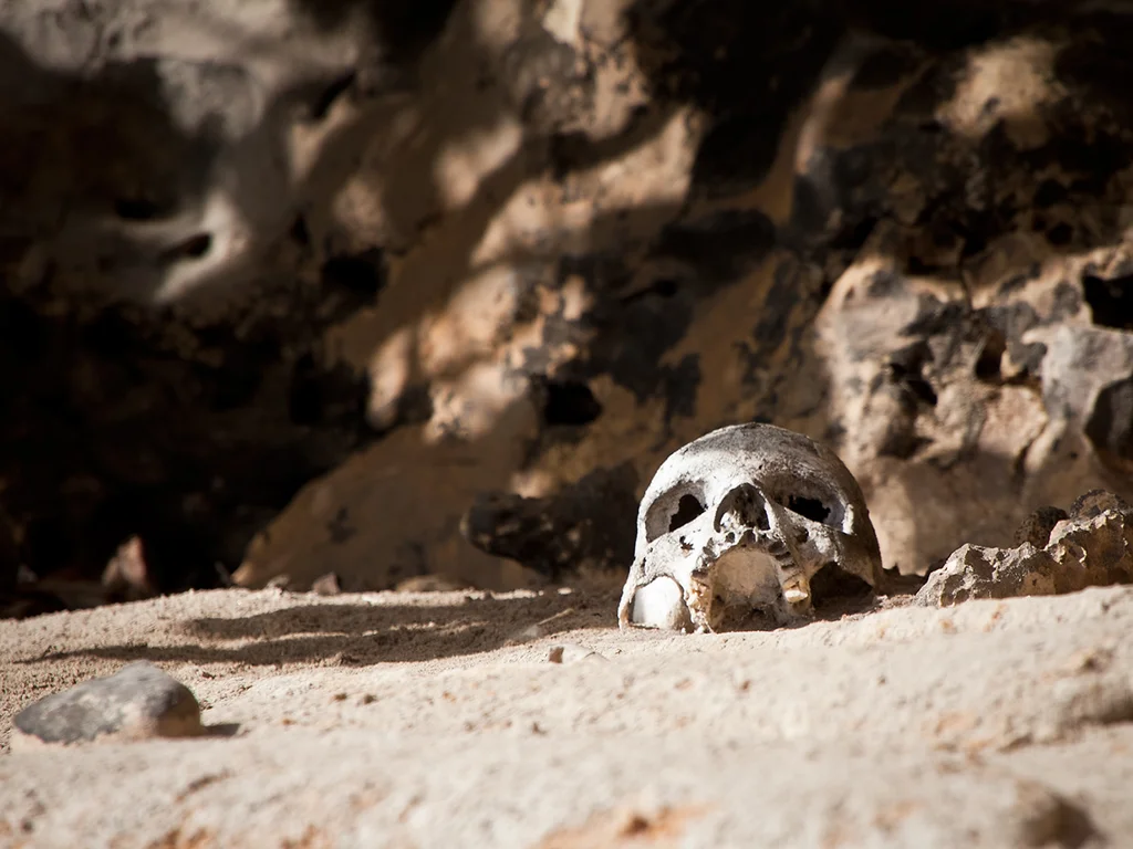 Skull and bones on the island