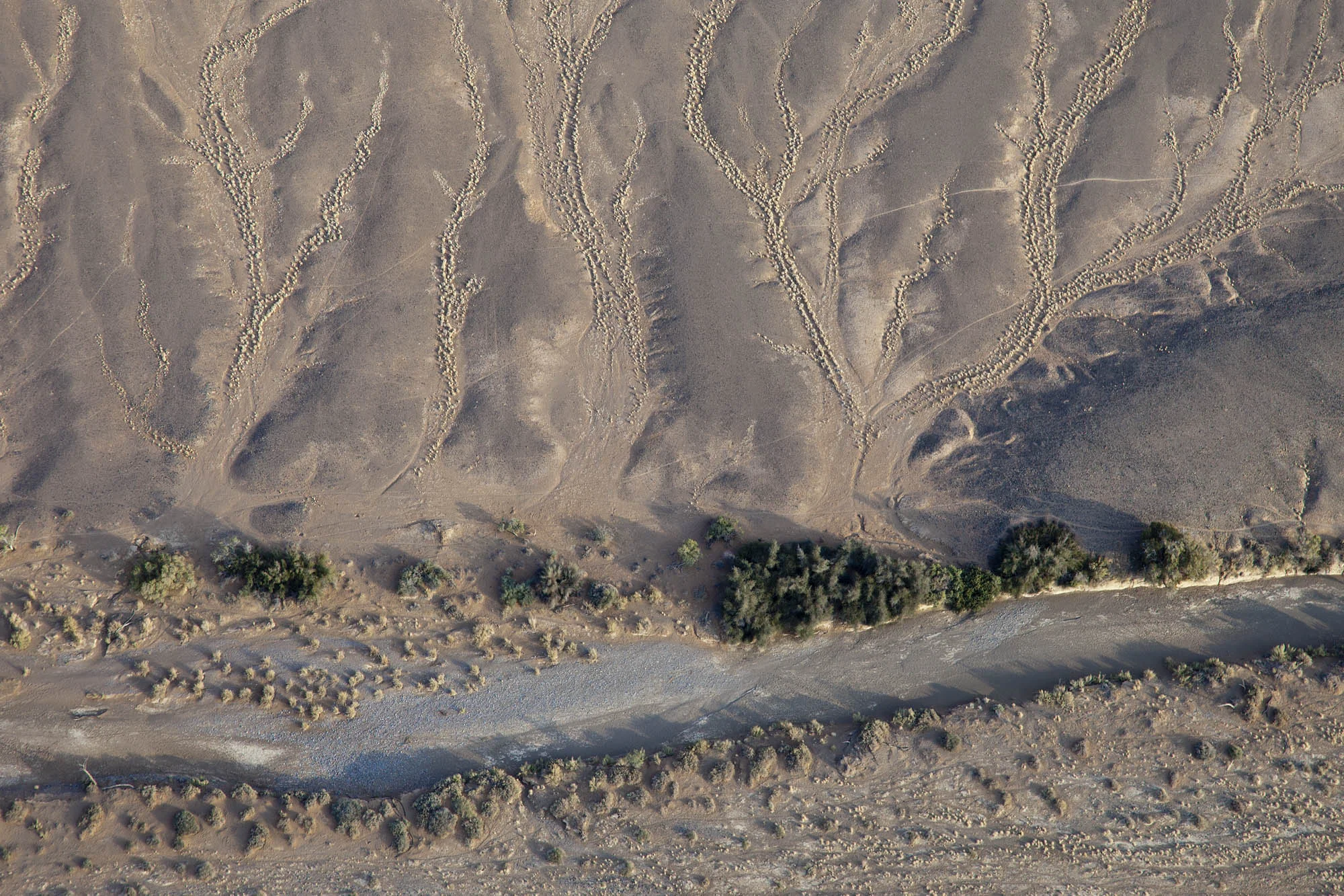  Looking down on the Tsauchab River