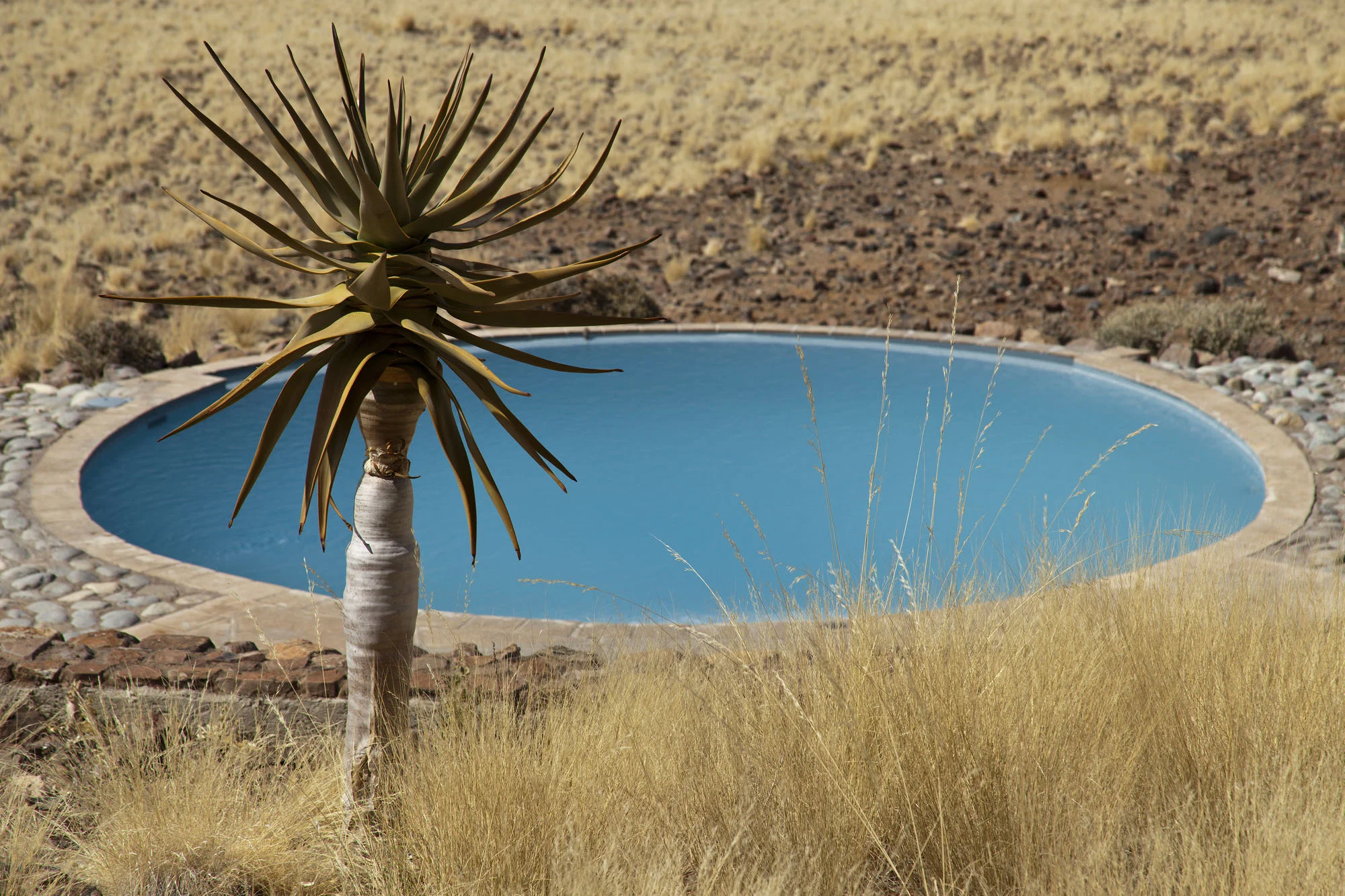 The Pool