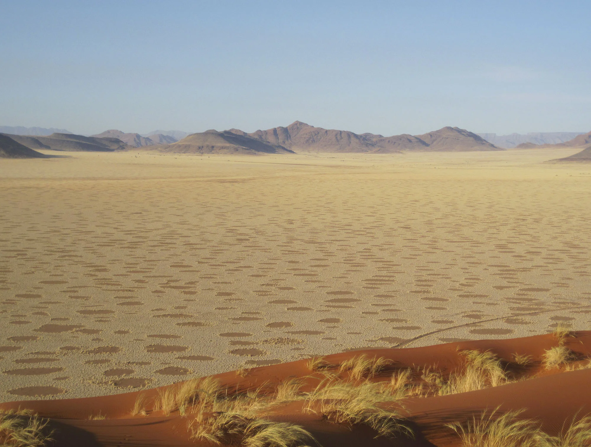 Fairy Circles
