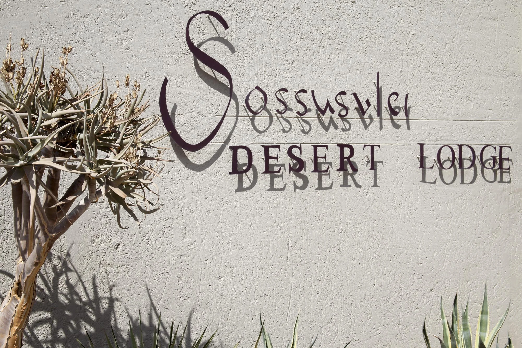 Sossuvlei Desert Lodge