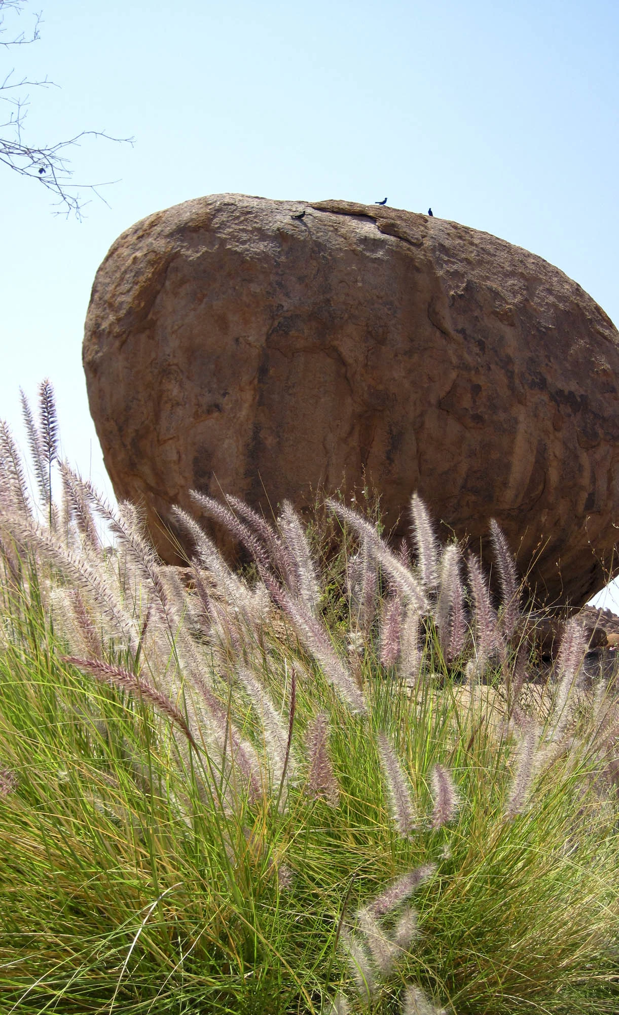 One of the many boulders