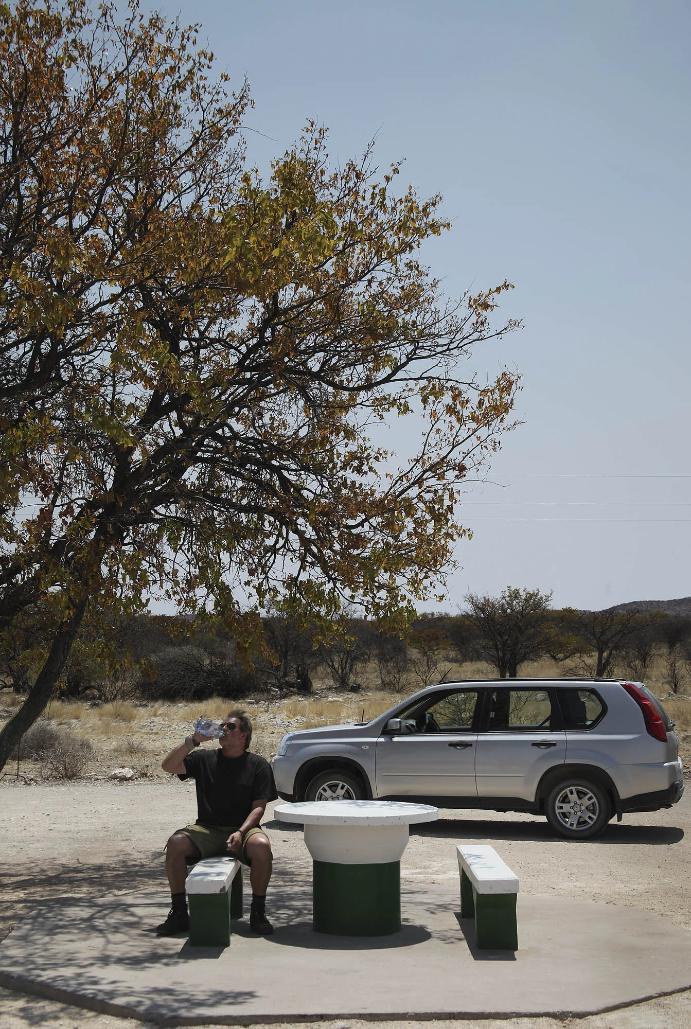 One of the ever present Rest Stops