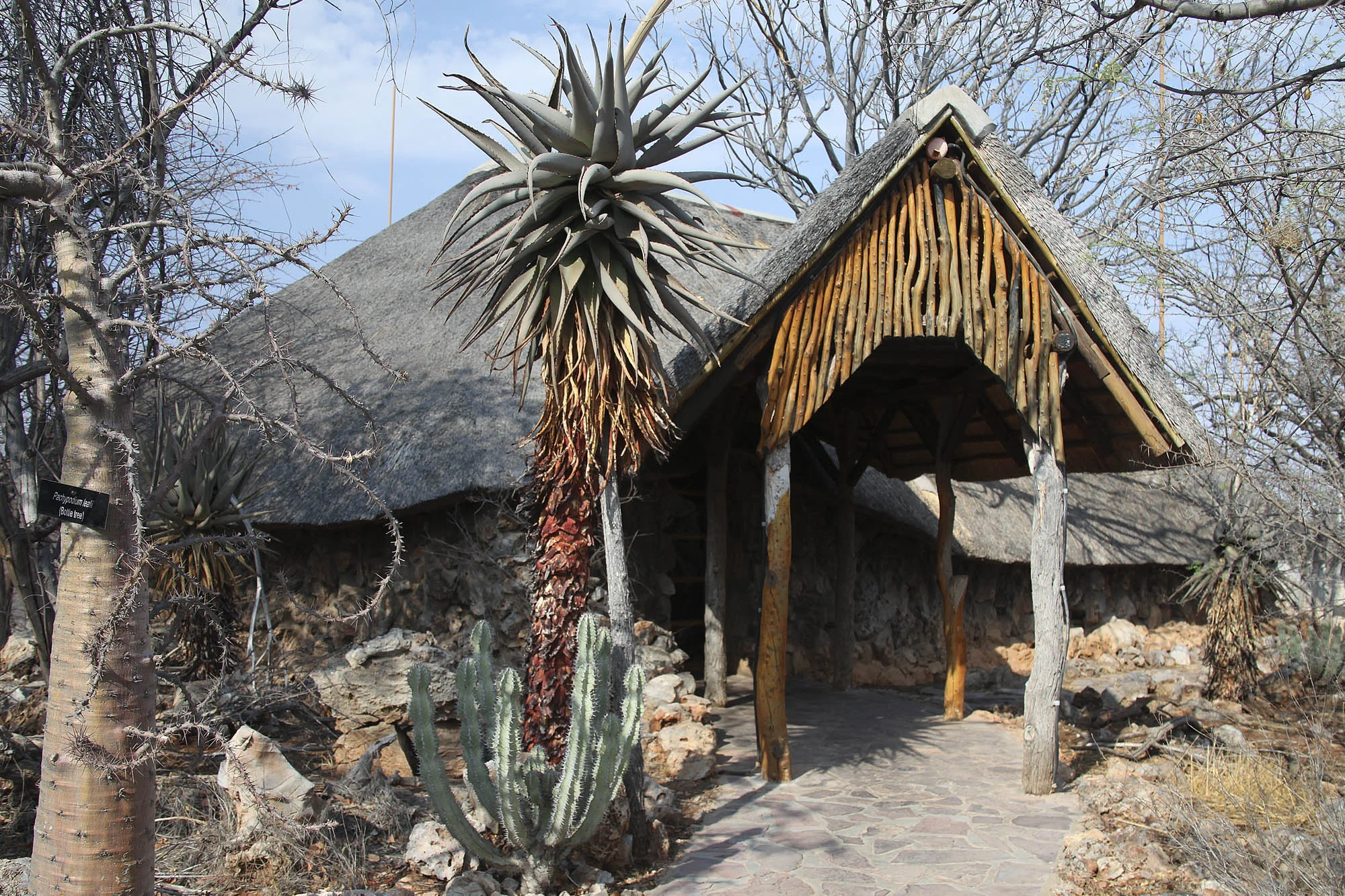 Ongava Reception