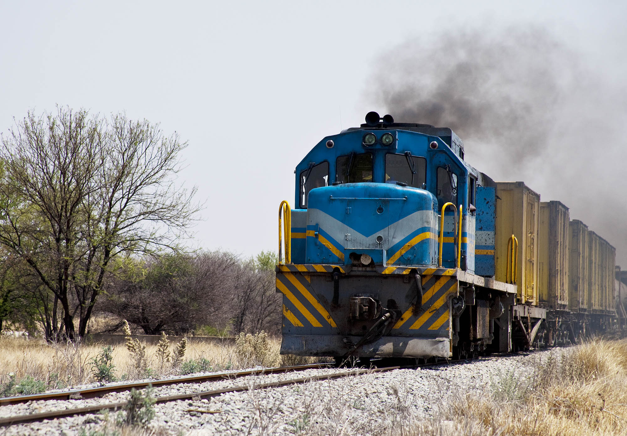 Namibian Goods Train