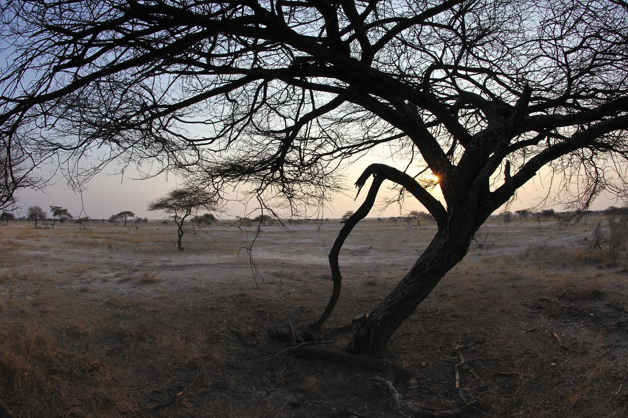 Looking out over Etosha from the deck