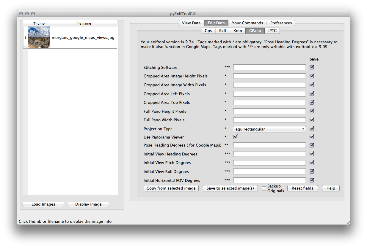 GPano data entry window