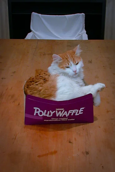 the box that started it all