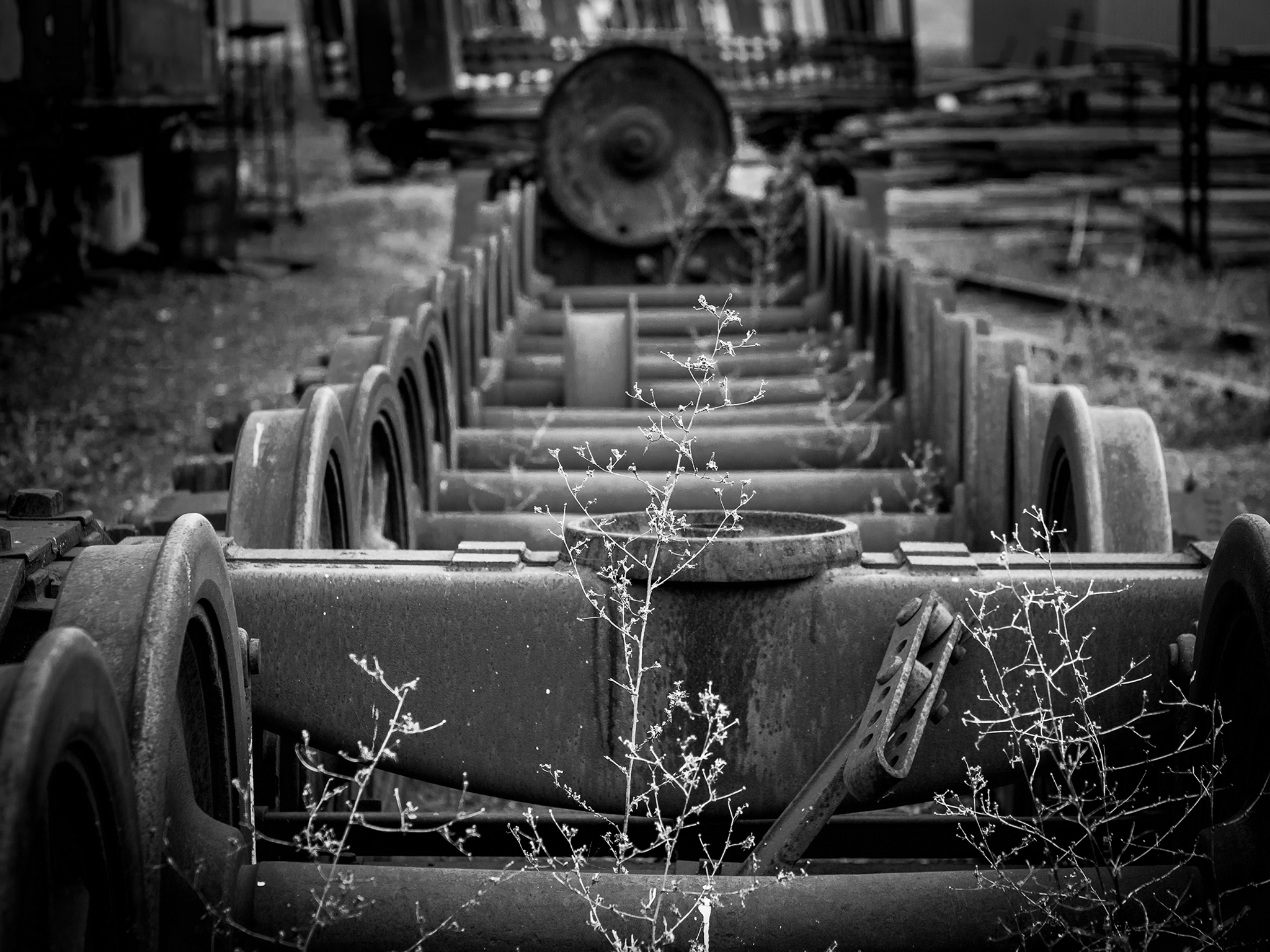 Axle bogies in the weeds