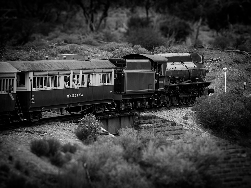 Pichi Richi Railway