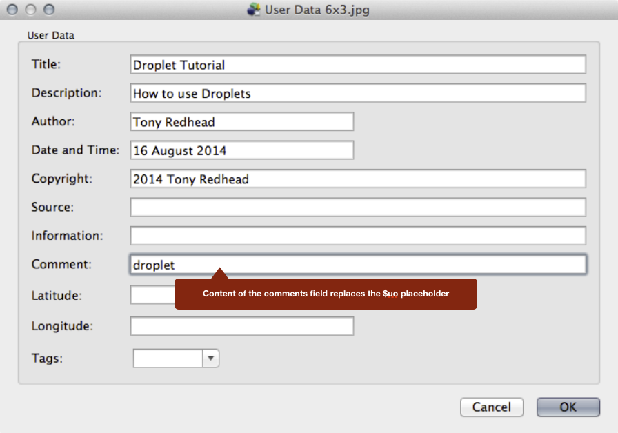 #8 User Data Window